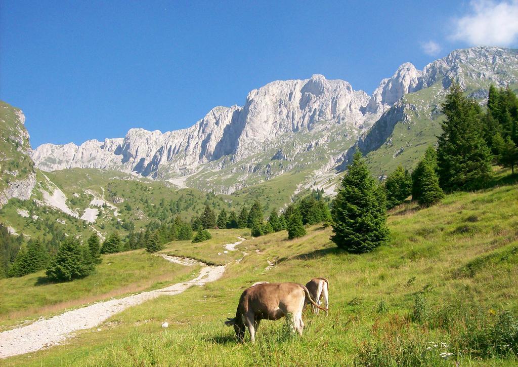 Eurohotel Mountain Wellness Castione della Presolana Exteriör bild